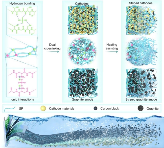 Professor Lin Zhan’s Team Publishes Latest Battery Recycling Research in Nature Sustainability
