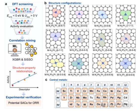 Professor Zhang Shanqing’s Team Publishes Breakthrough in Single-Atom Electrocatalysis in JACS